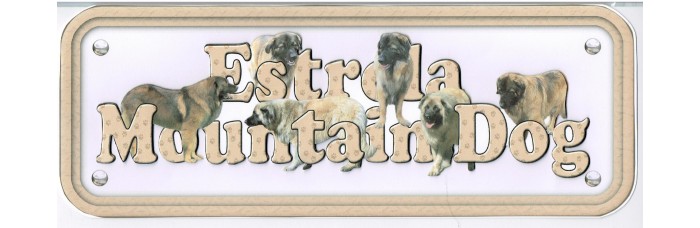 Estrela Mountain Dog